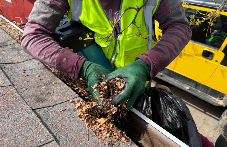 Gutter Cleaning