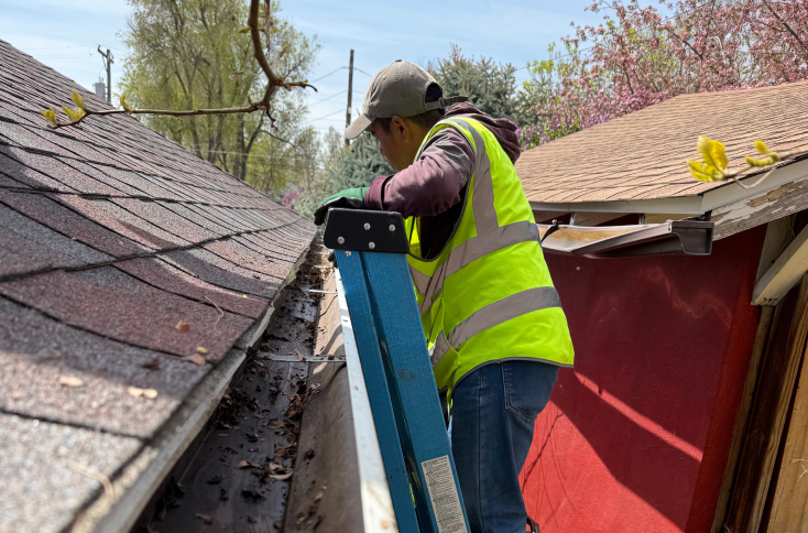 Gutter Cleaning