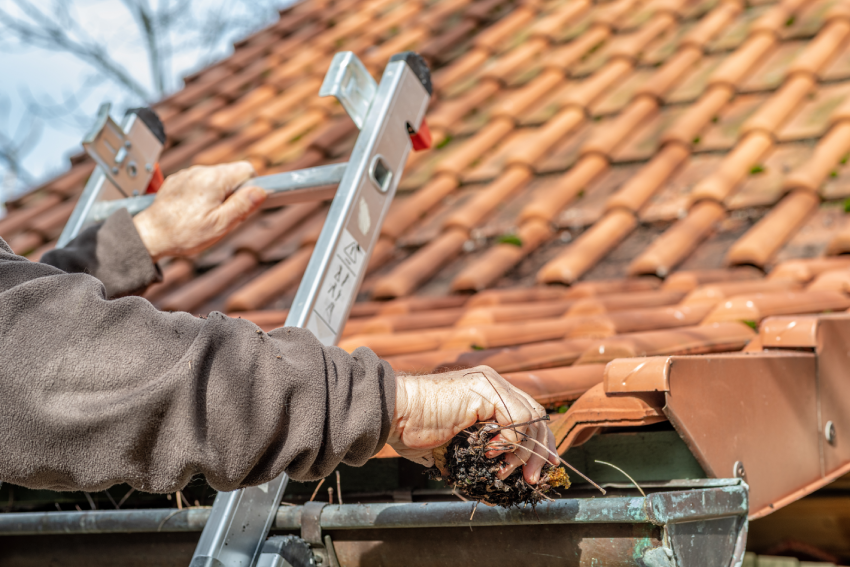 Person clearing leaves and debris from a gutter while standing on a ladder beside a tiled roof.