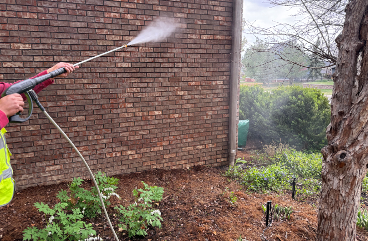 House Siding Cleaning