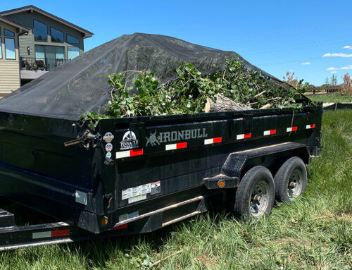 Top 5 Benefits of Professional Junk Removal Services