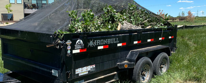 A black Iron Bull trailer filled with branches and leaves is parked on grass near a house under a clear blue sky.